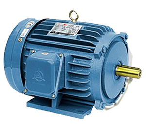 高崎卧式高效率电机